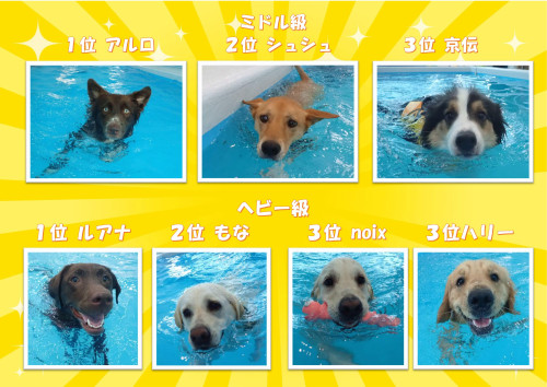 写真56_02.jpg