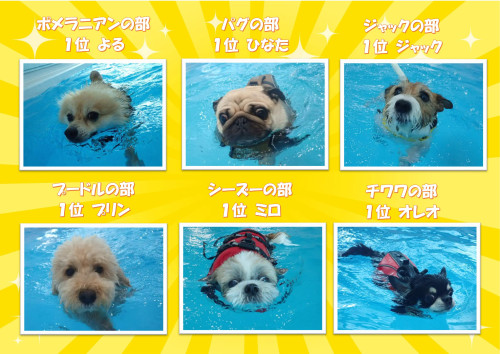 写真犬種別1_01.jpg
