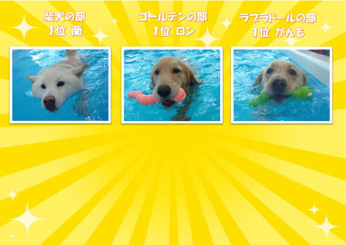 写真犬種別4_01.jpg