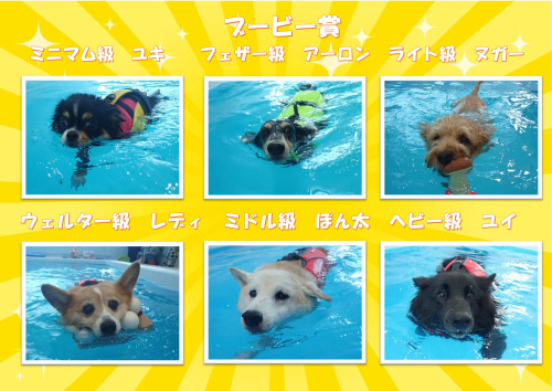 写真B_01.jpg