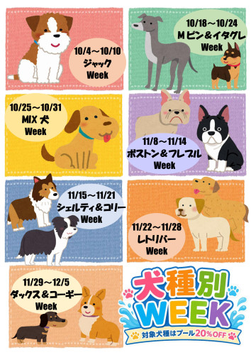 犬種別2026_02.jpg