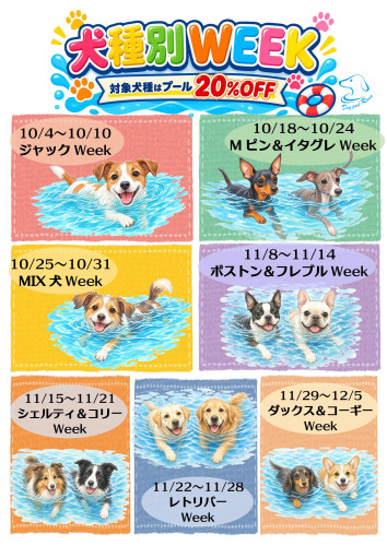 犬種別20262_01.jpg