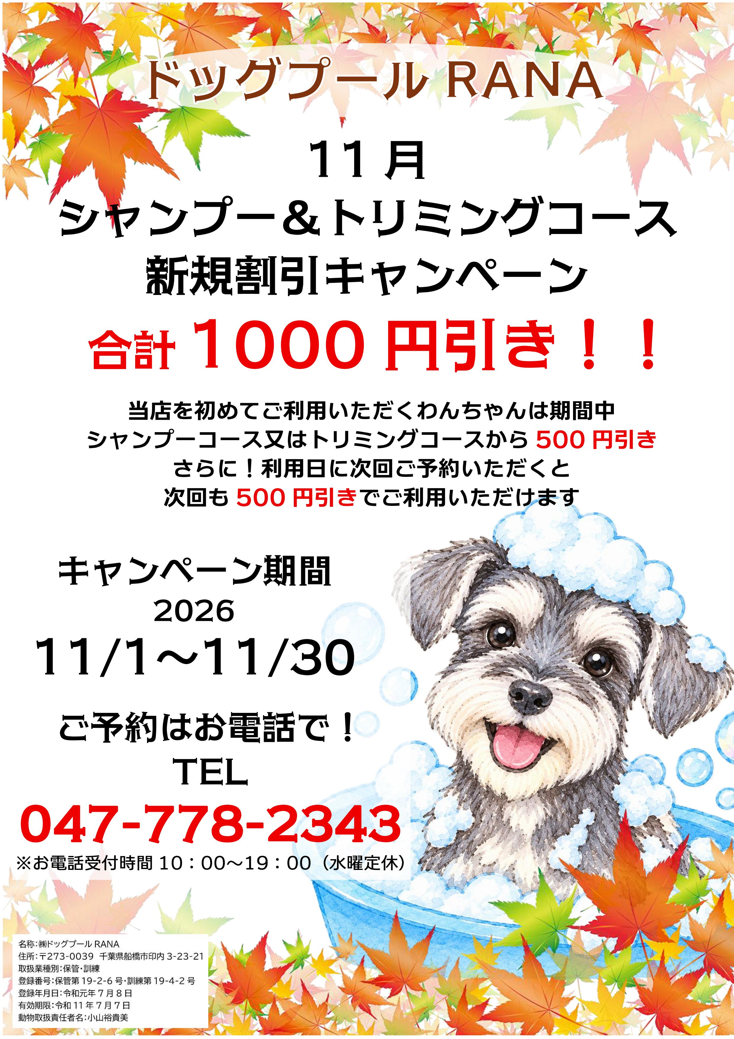 11月美容新規利用キャンペーン