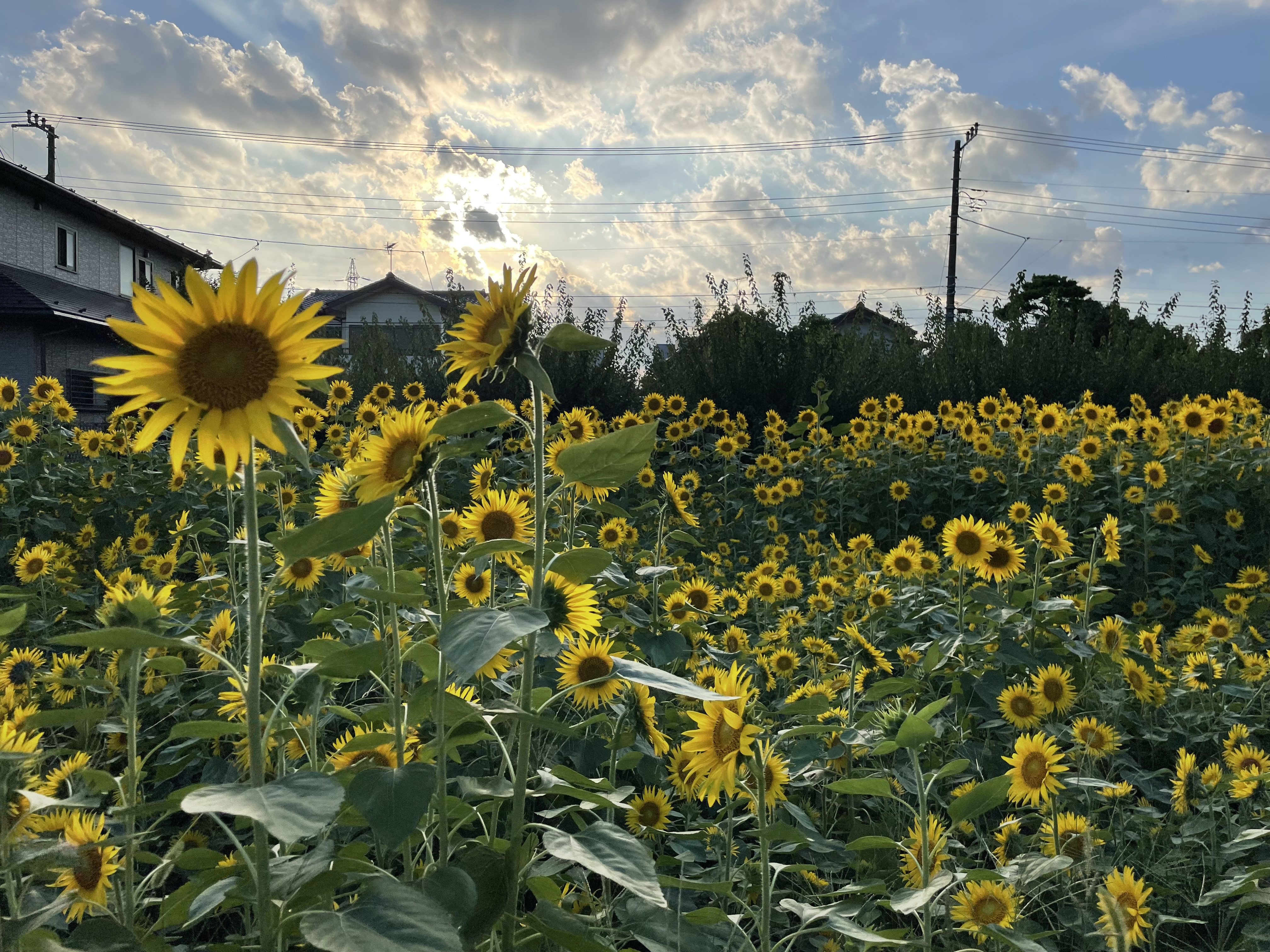 8月空席状況