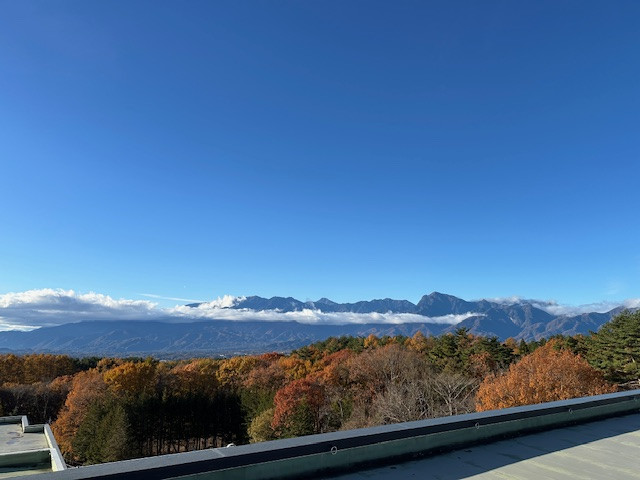 11・12月空席状況