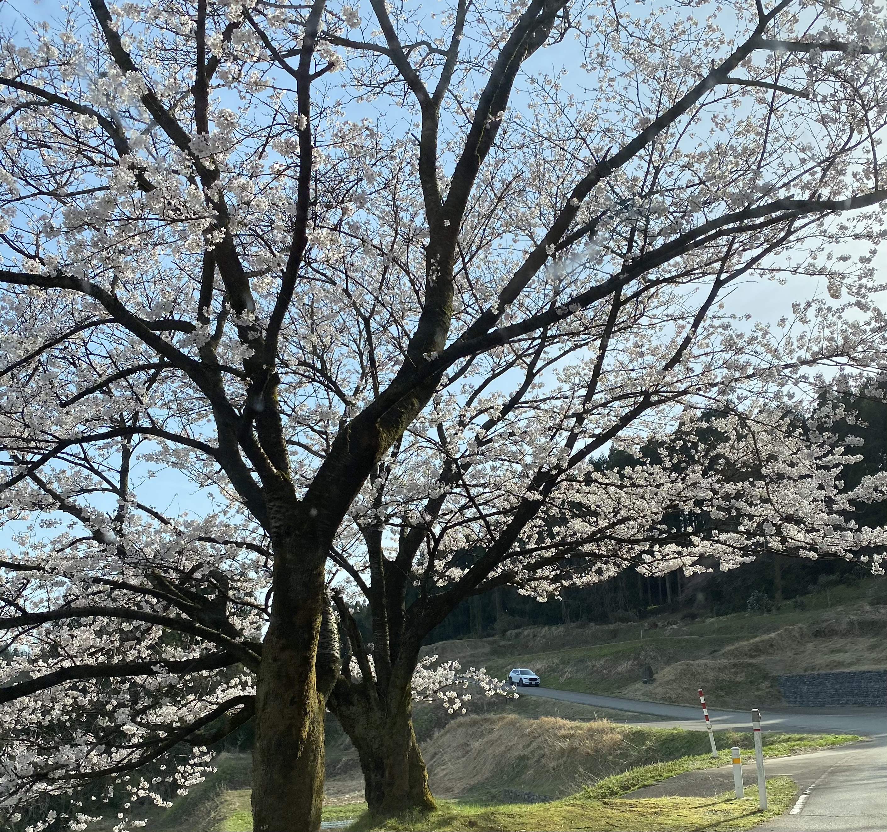 本日の営業は無事終了