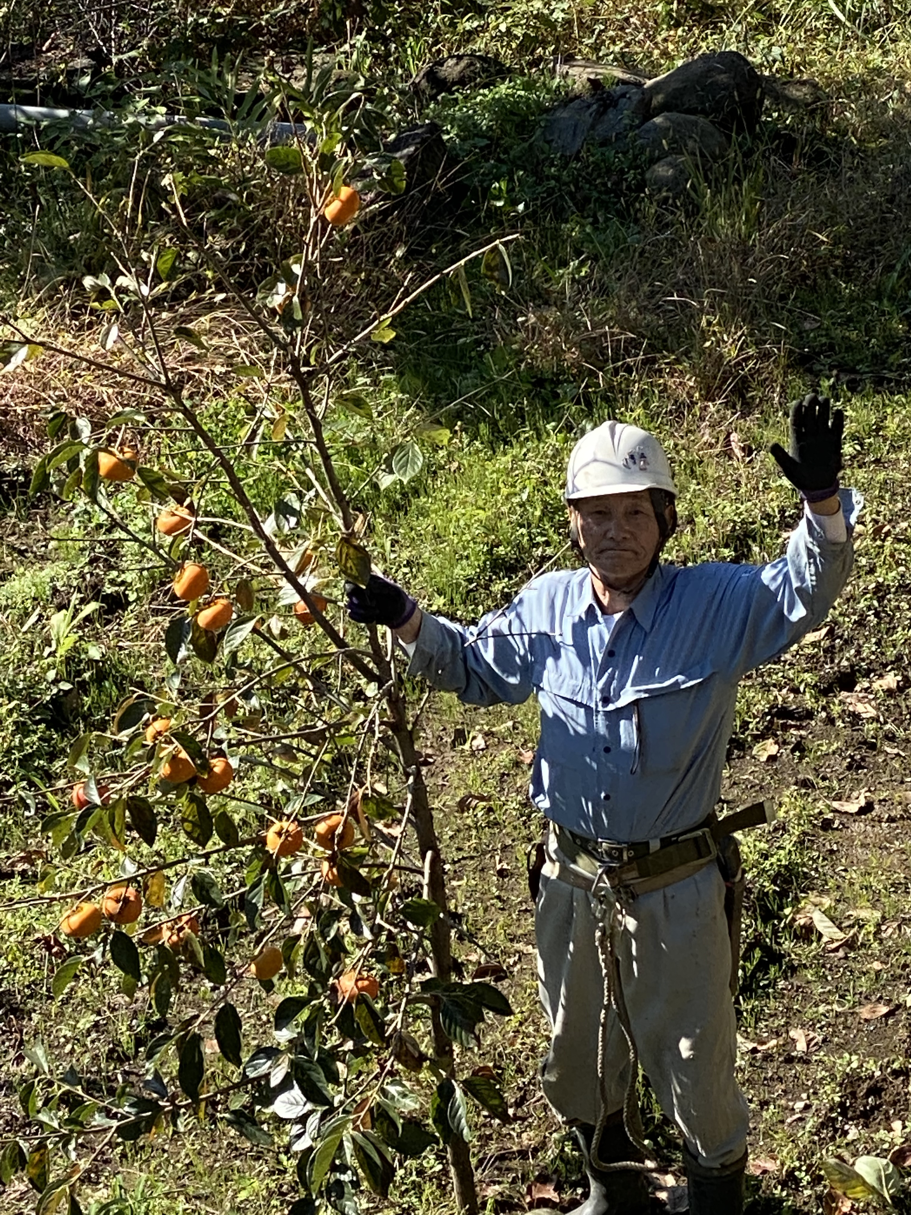 新蕎麦準備中