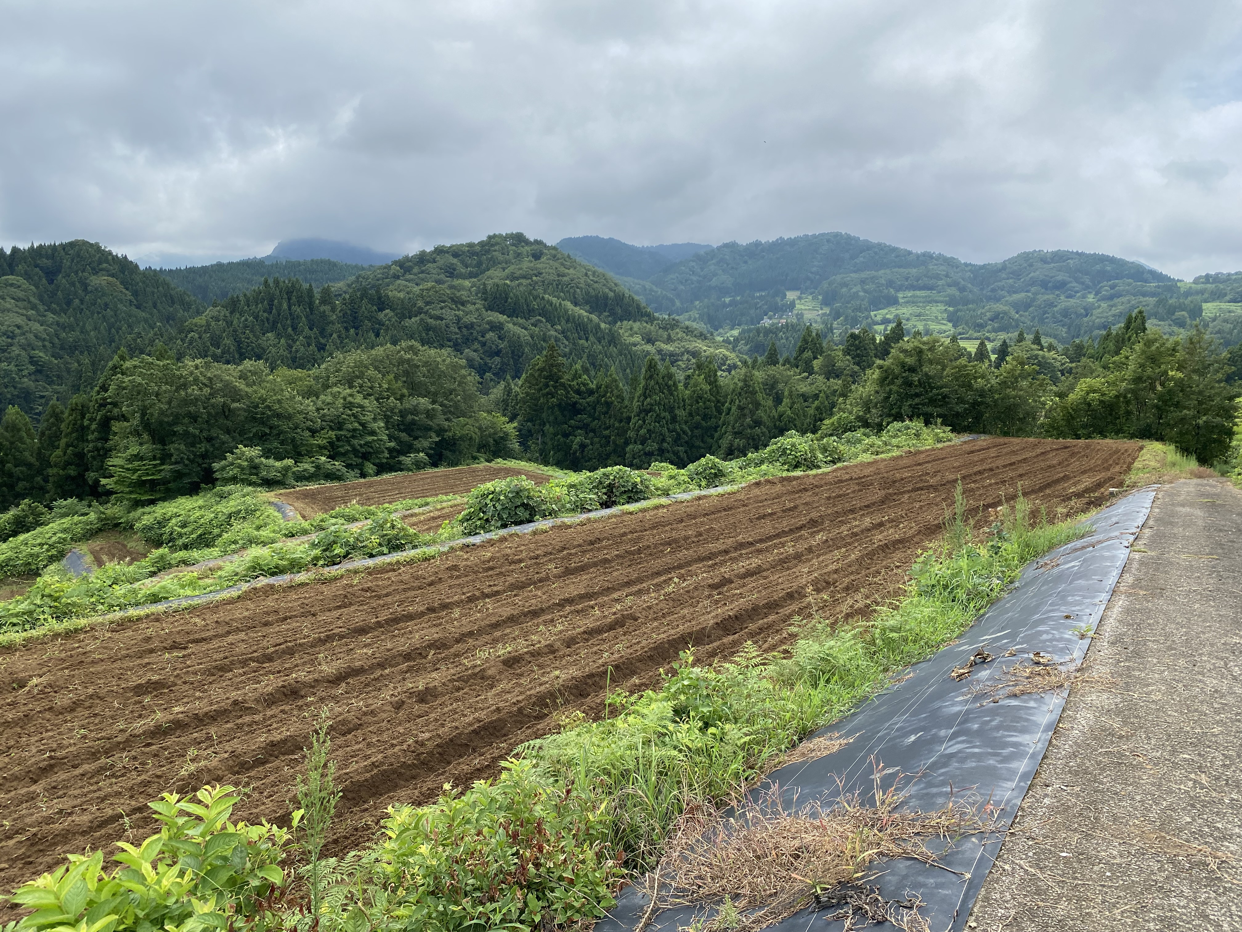 2024そば巻き