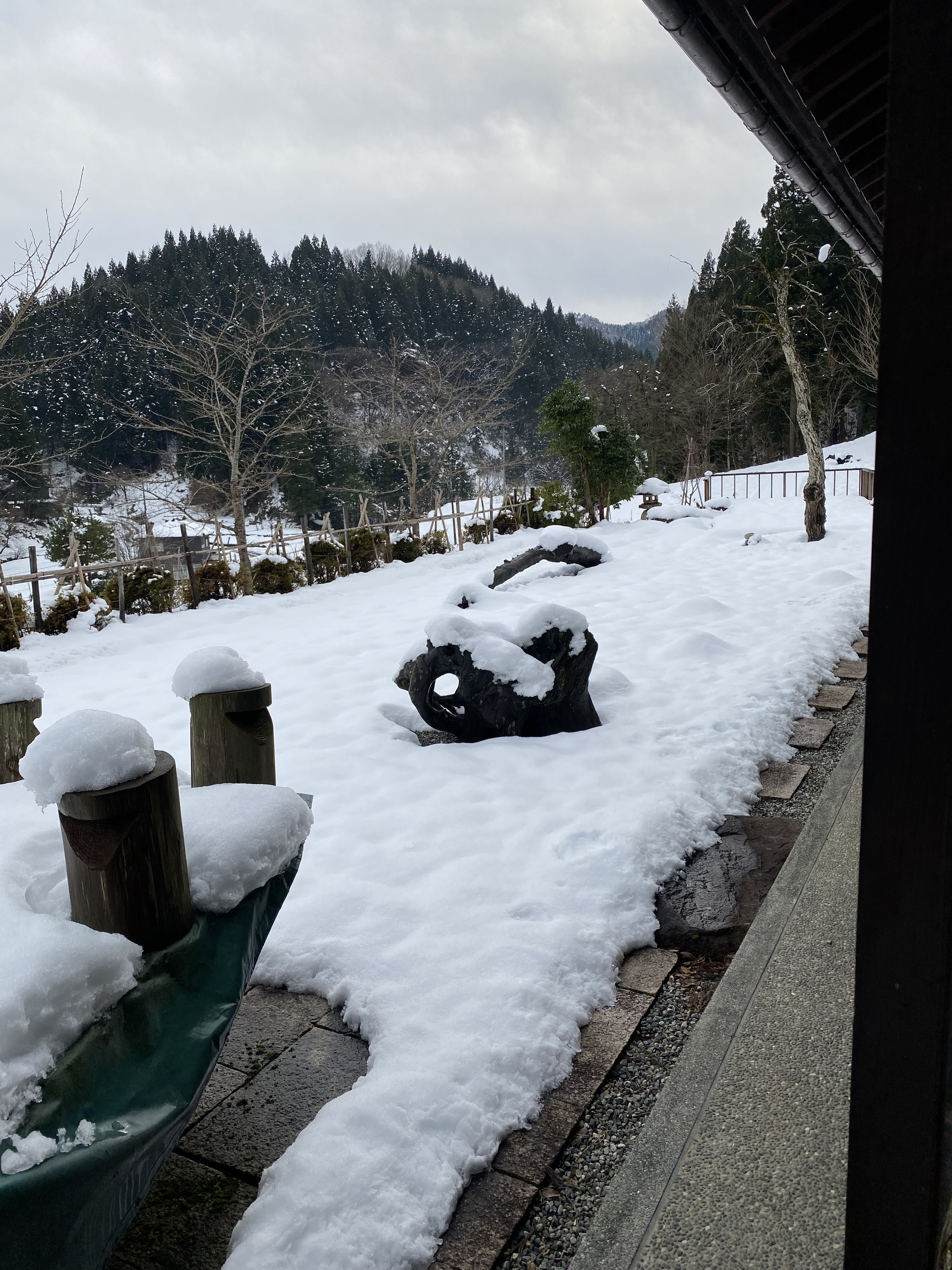 草蓮坂は雪です