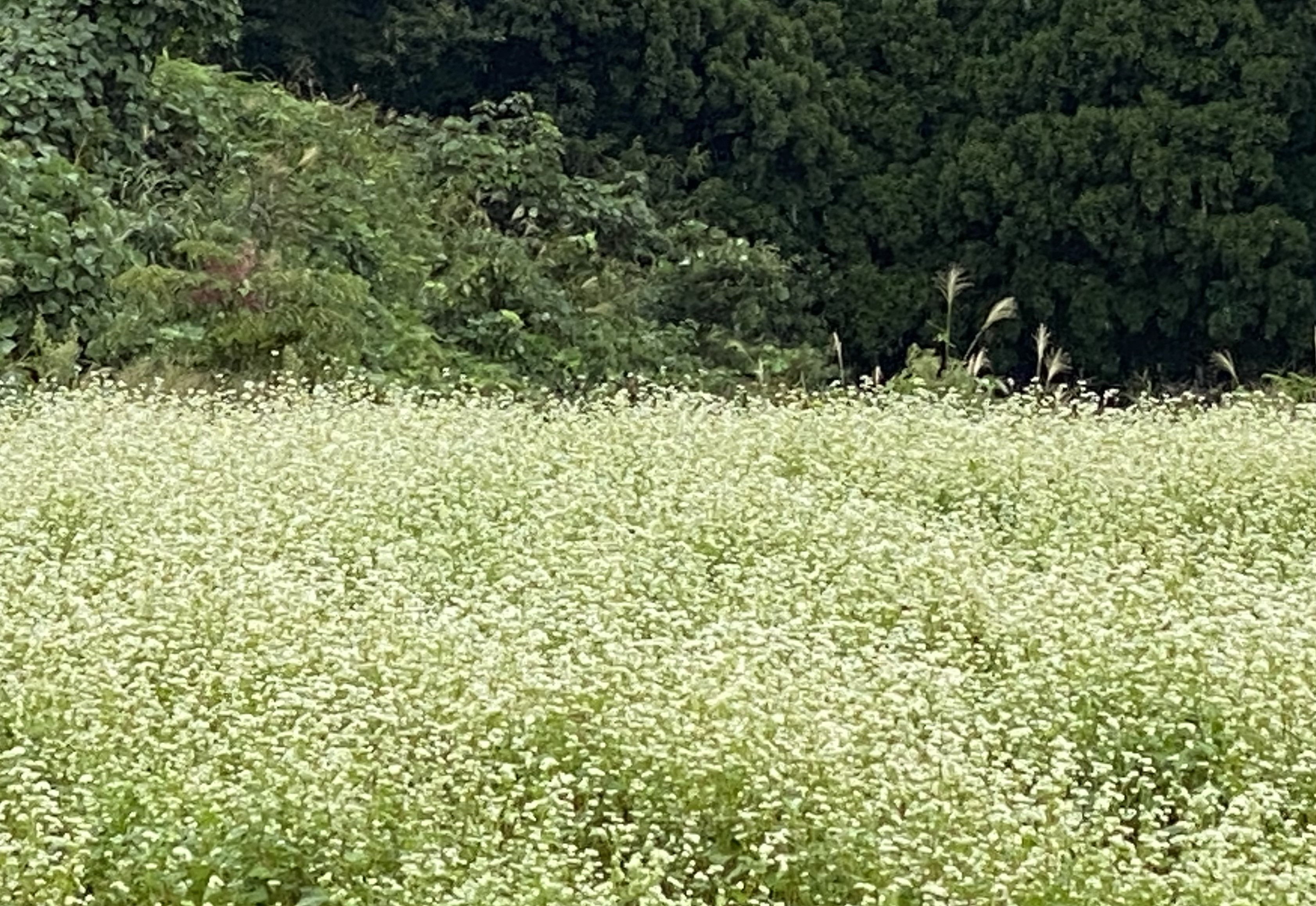 秋分の日　定休日