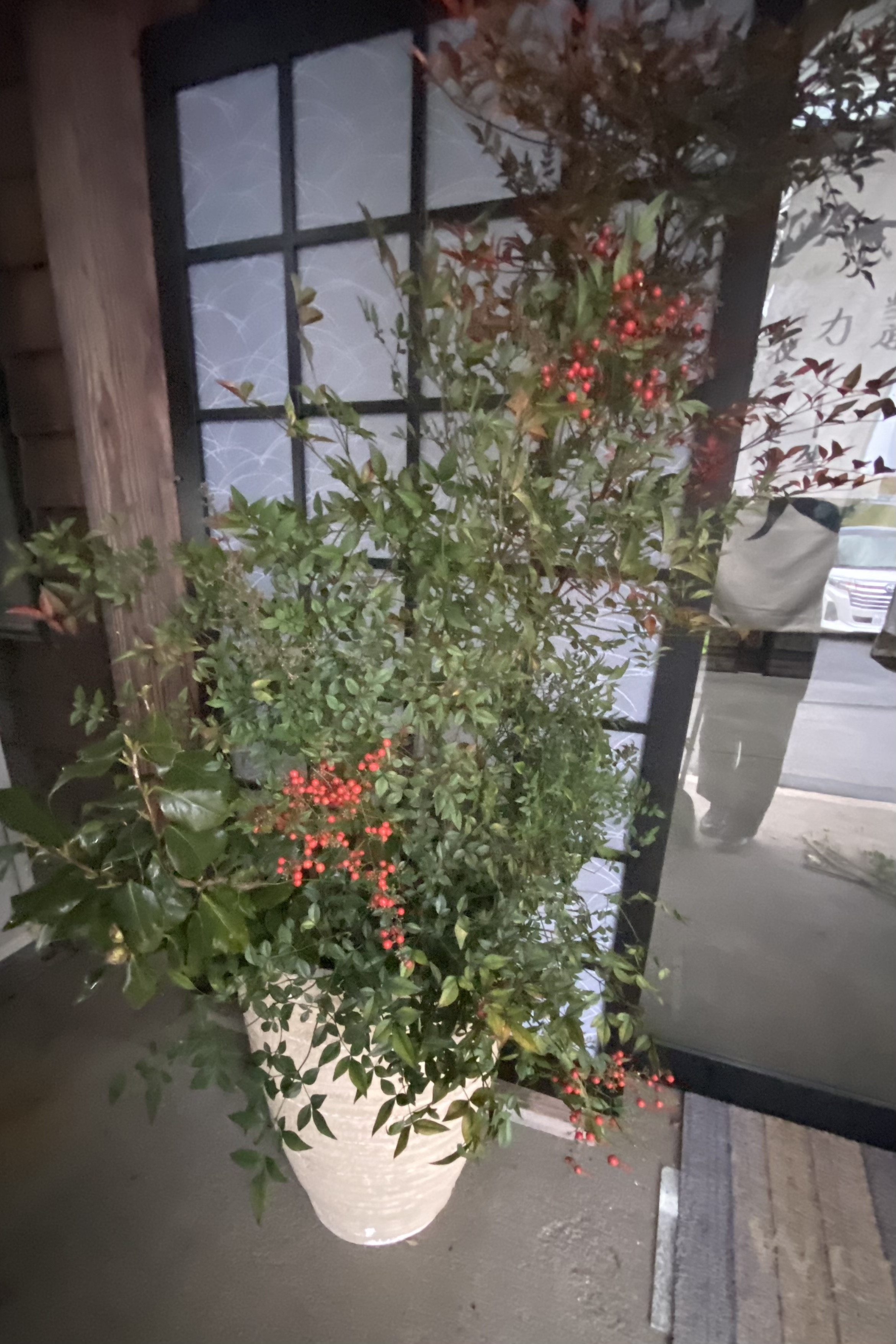 南天を生けました