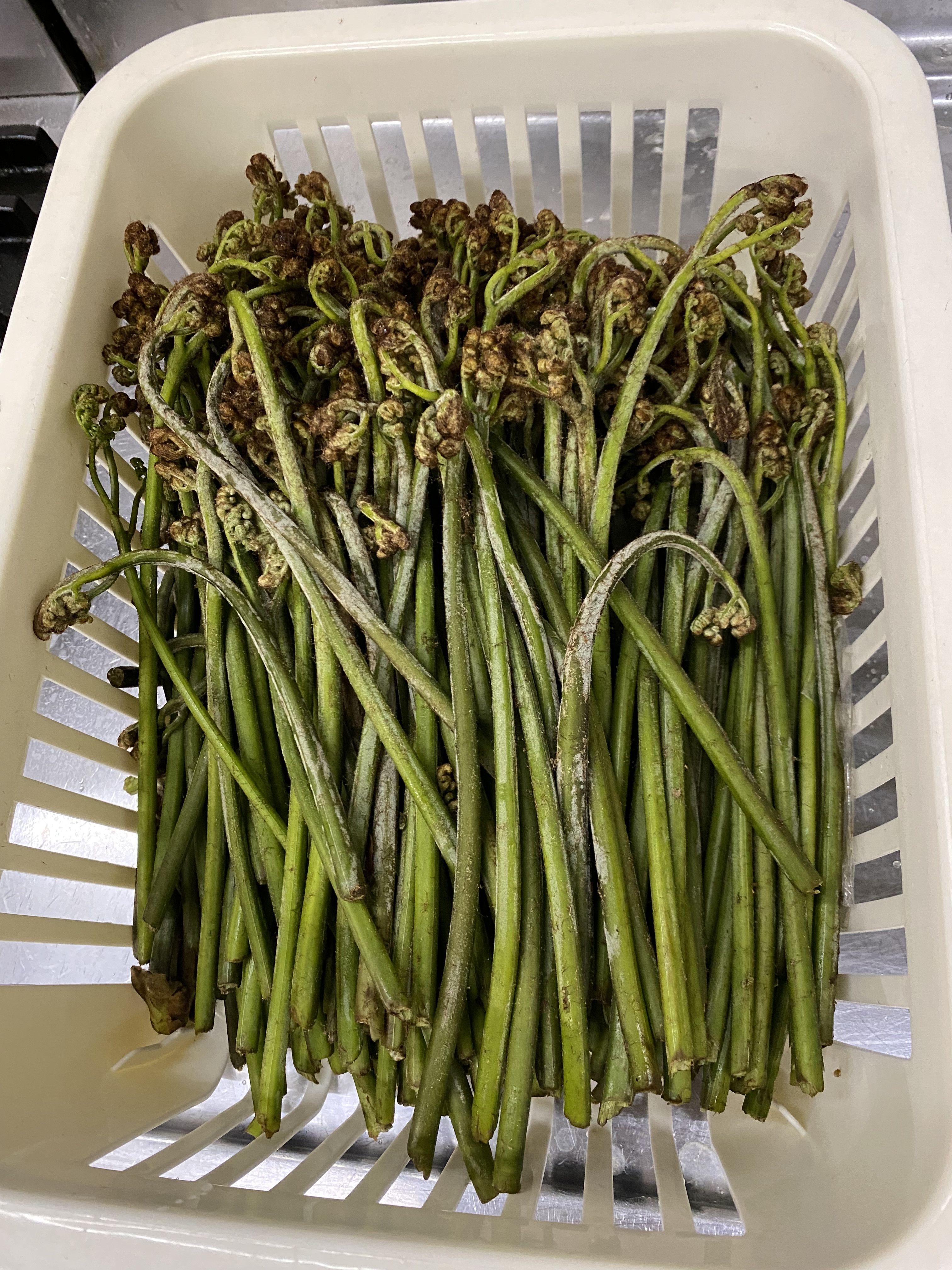富山の山幸旬の恵みをお届け！自家製わらびの昆布締め