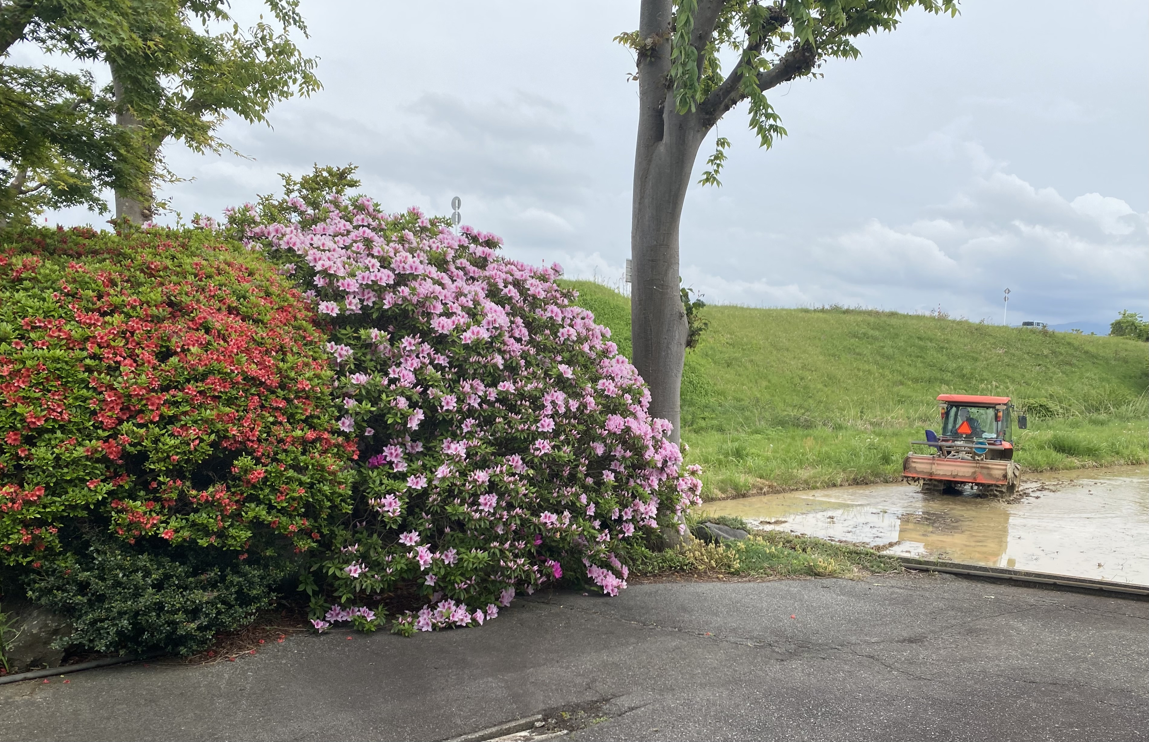 春の田園風景と共に、明日からのご来店をお待ちしております！
