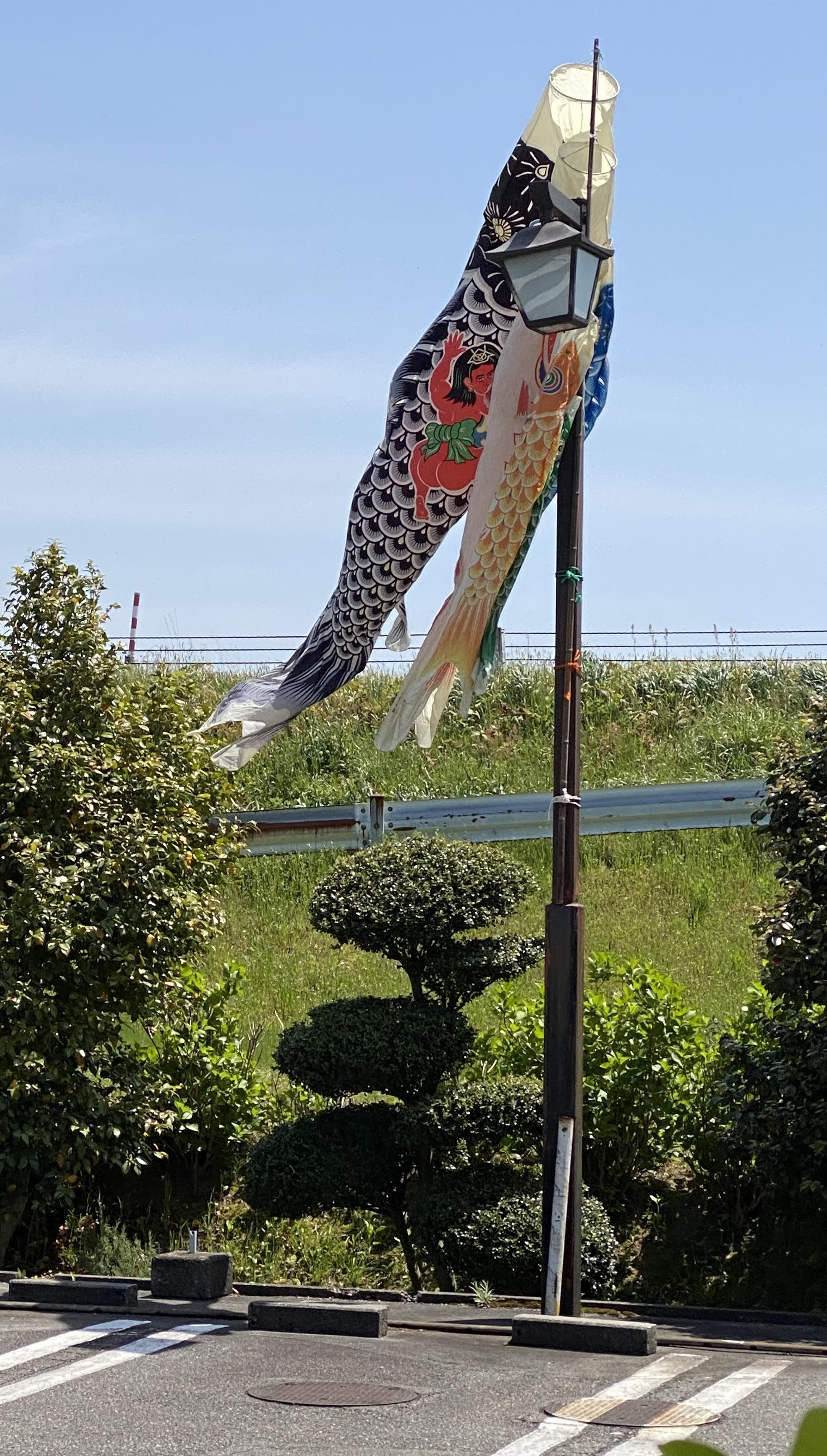 こどもの日🎏　ゴールデンウィーク後半と定休日のお知らせ