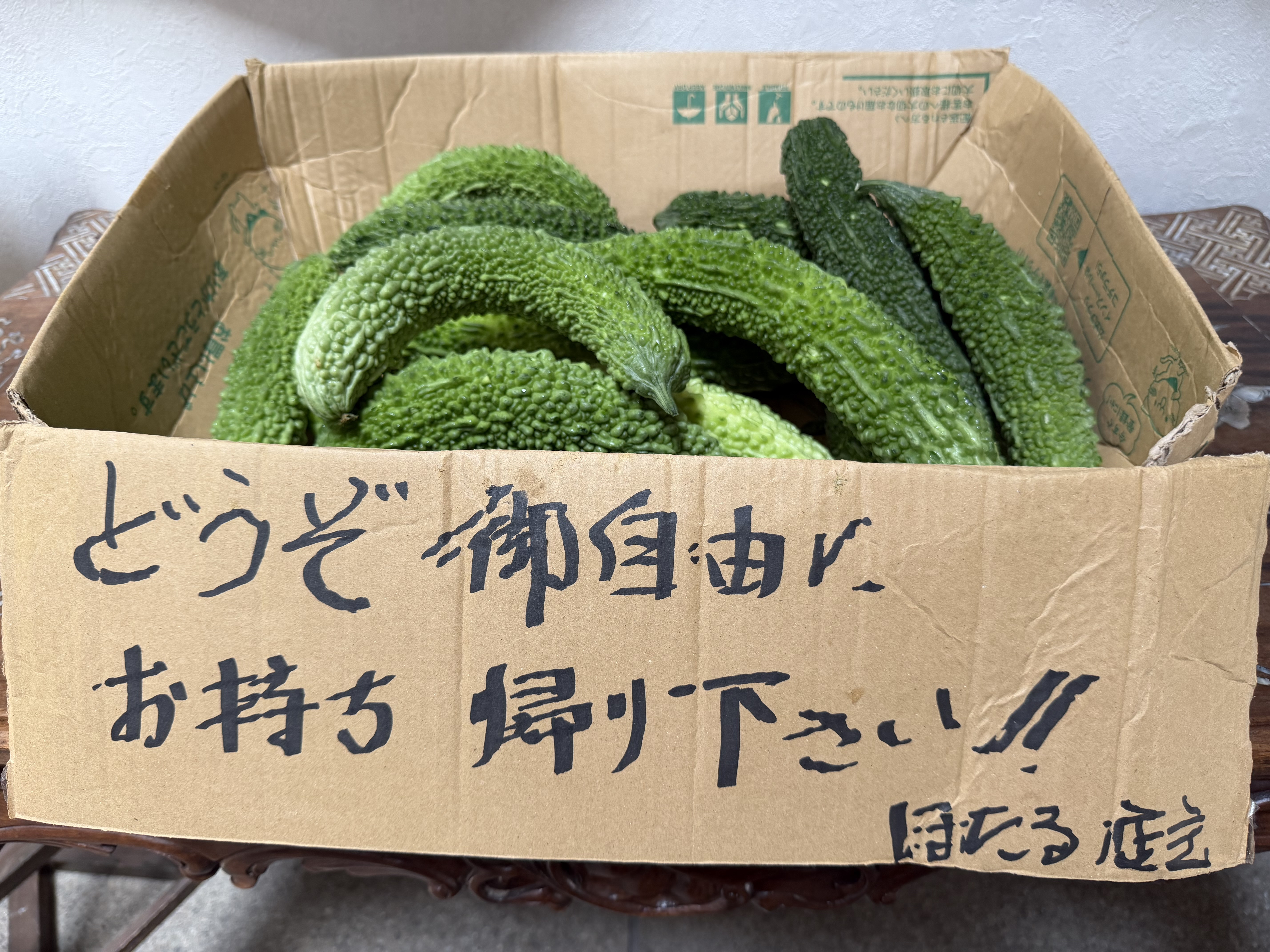 ゴウヤ　ご自由にお持ち帰りください