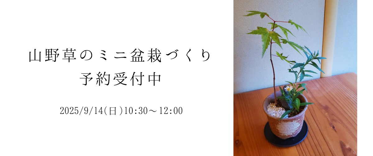 詳細は画像をクリックしてください
