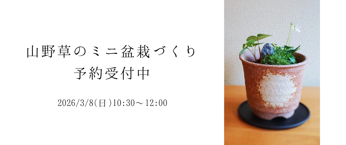 詳細は画像をクリックしてください