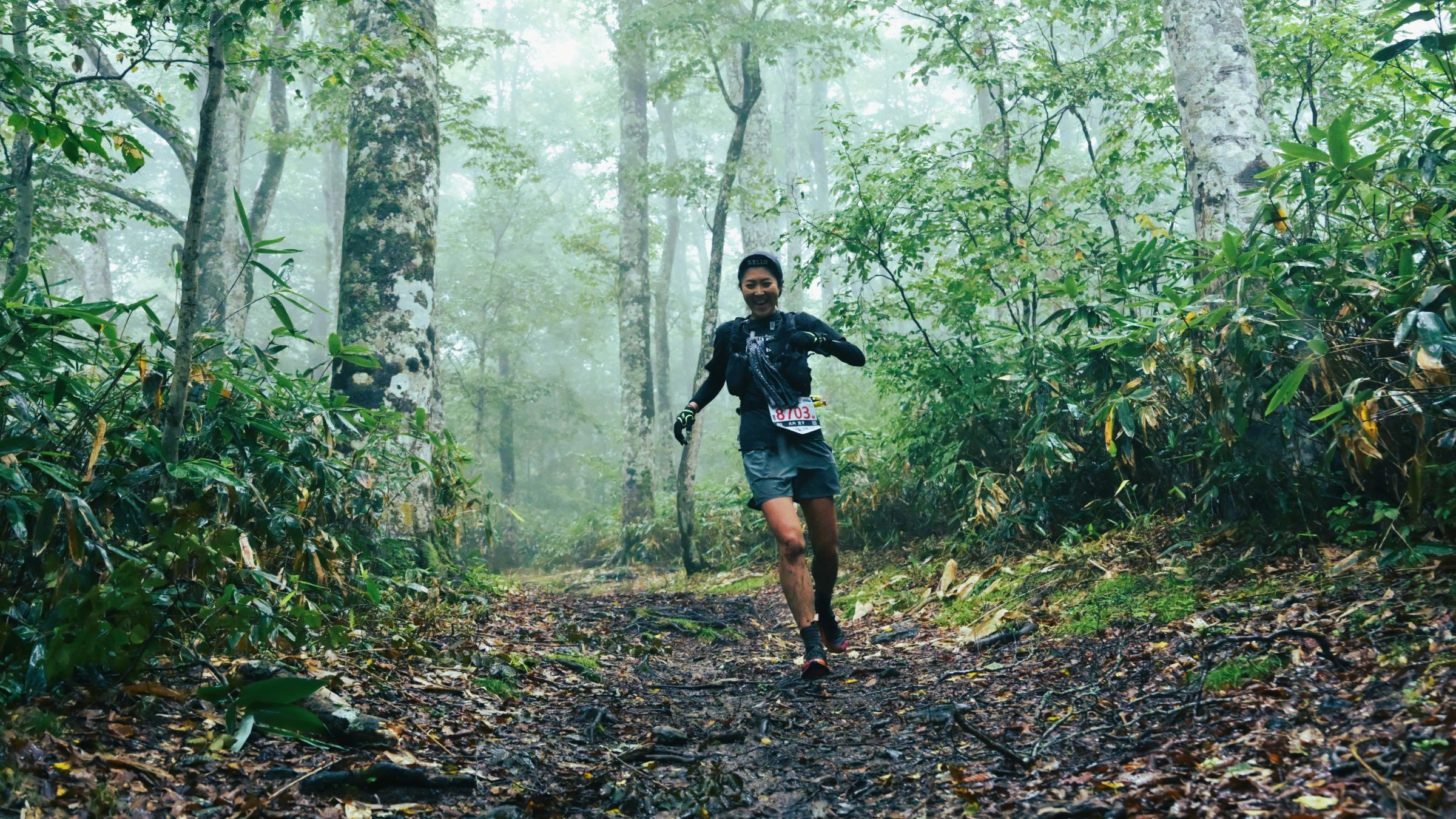 Races ビジュアル