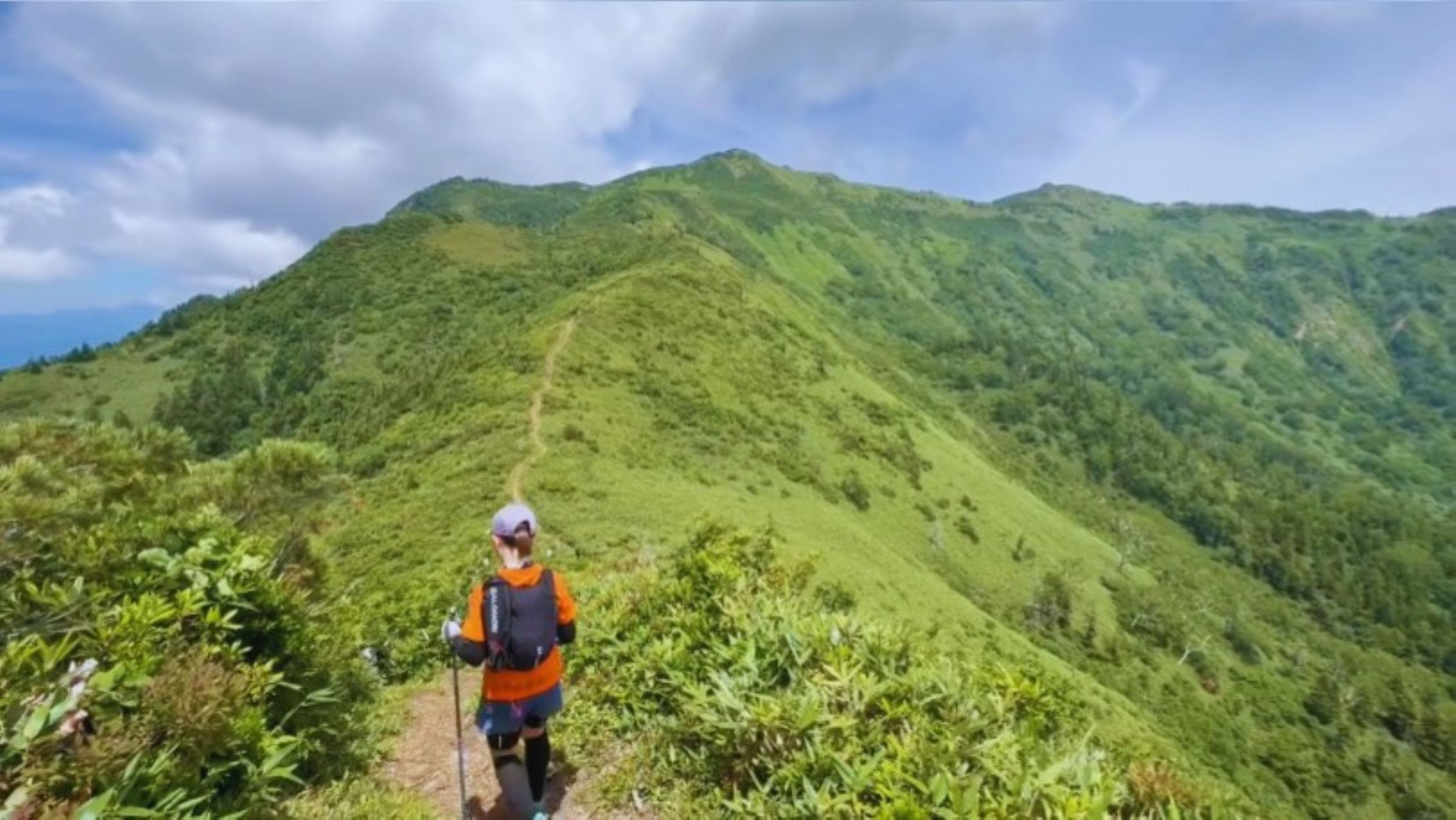 SVT メインビジュアル