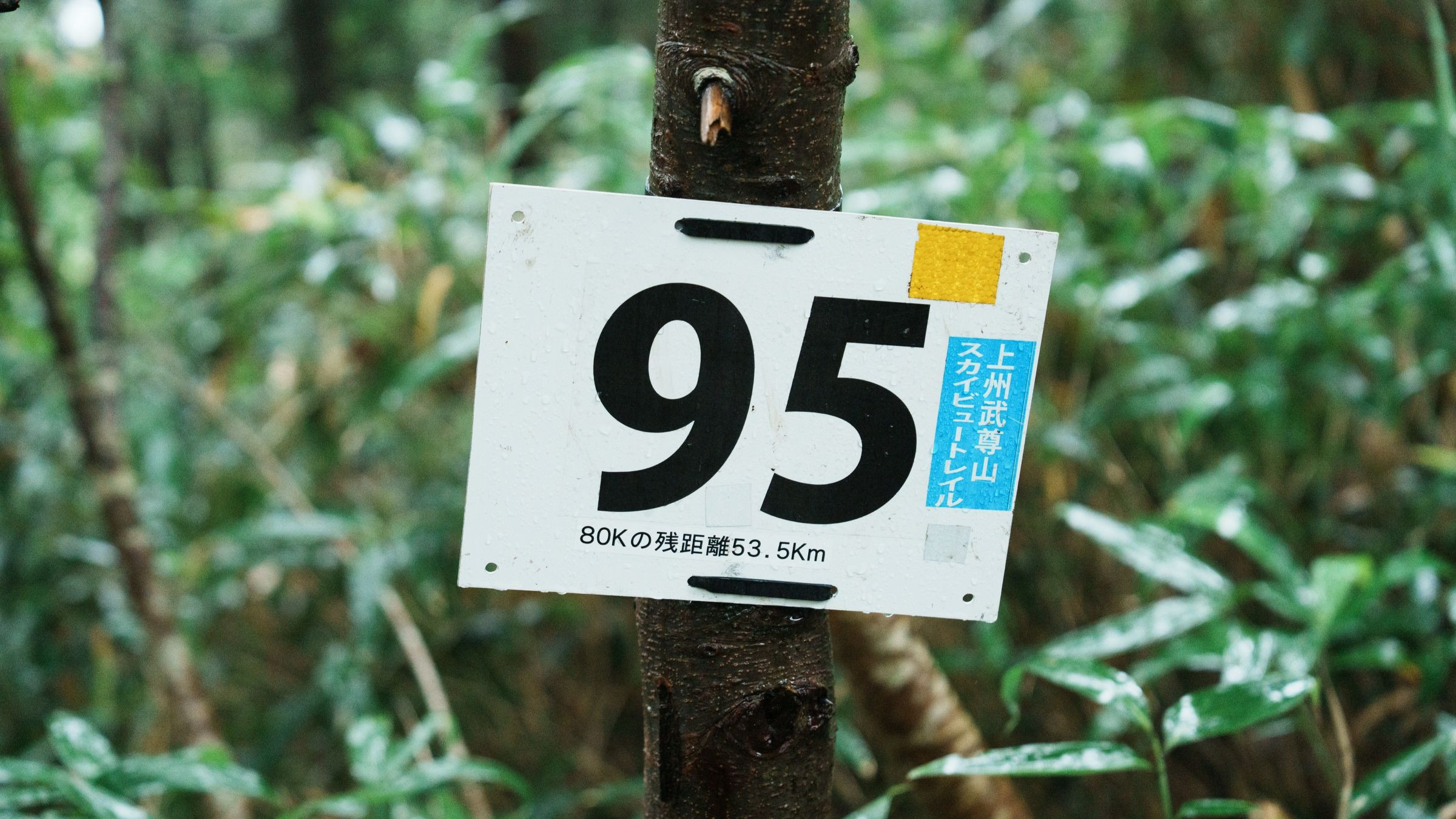 （差し替え用）コースマーキング イメージ