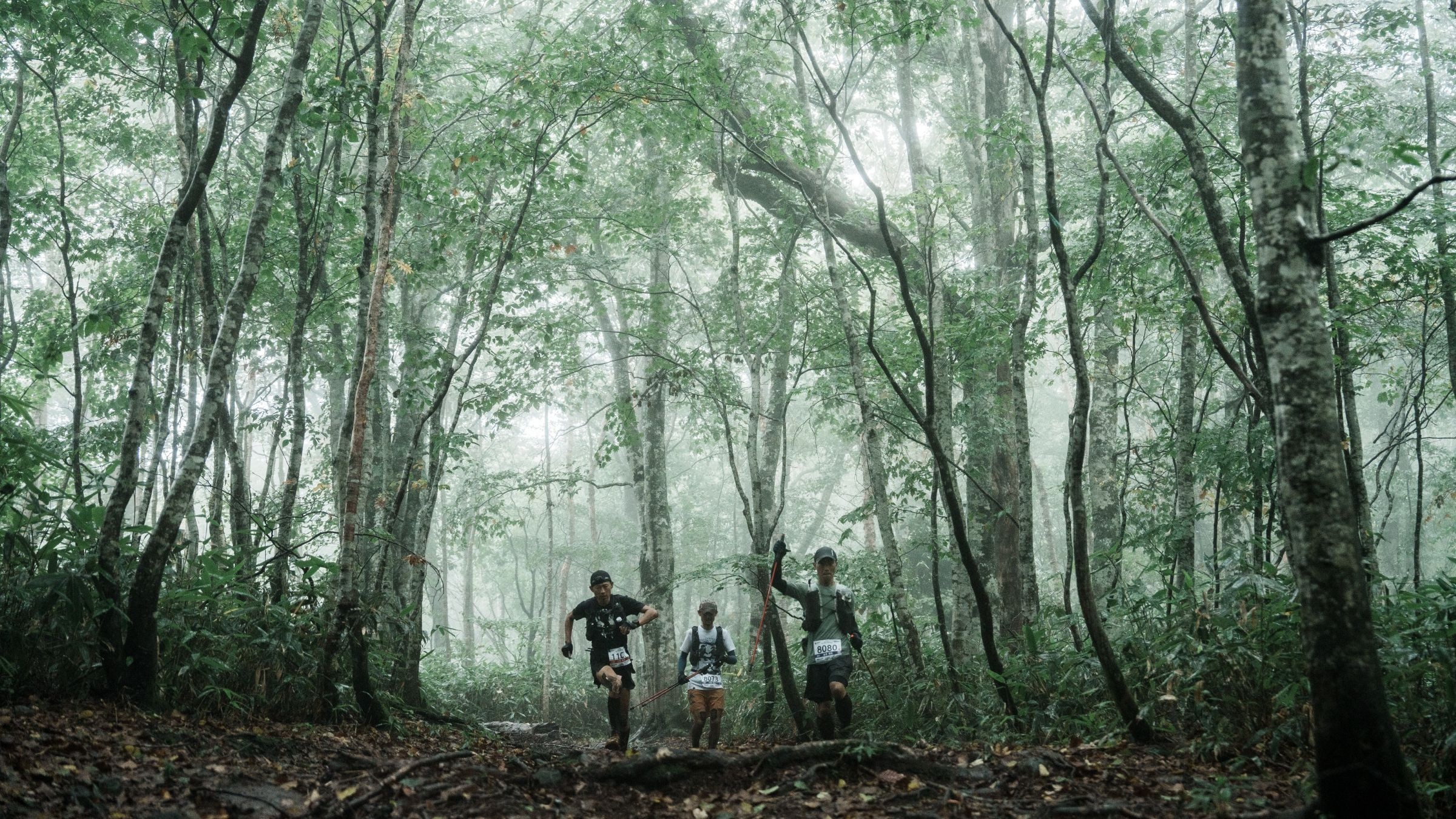 武尊山 稜線からの展望