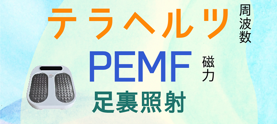 テラヘルツPEMF足裏照射