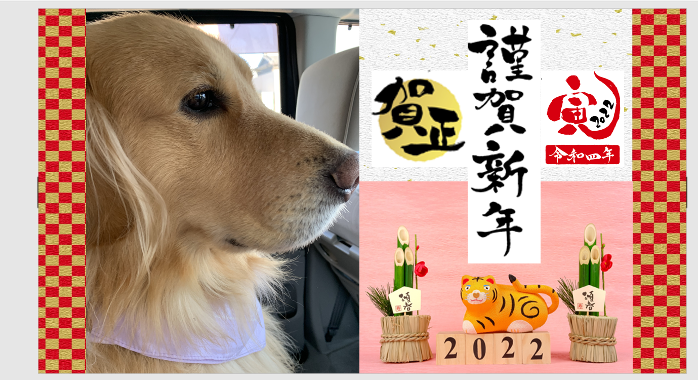 恭賀新春🎍2022年もよろしくお願いいたします