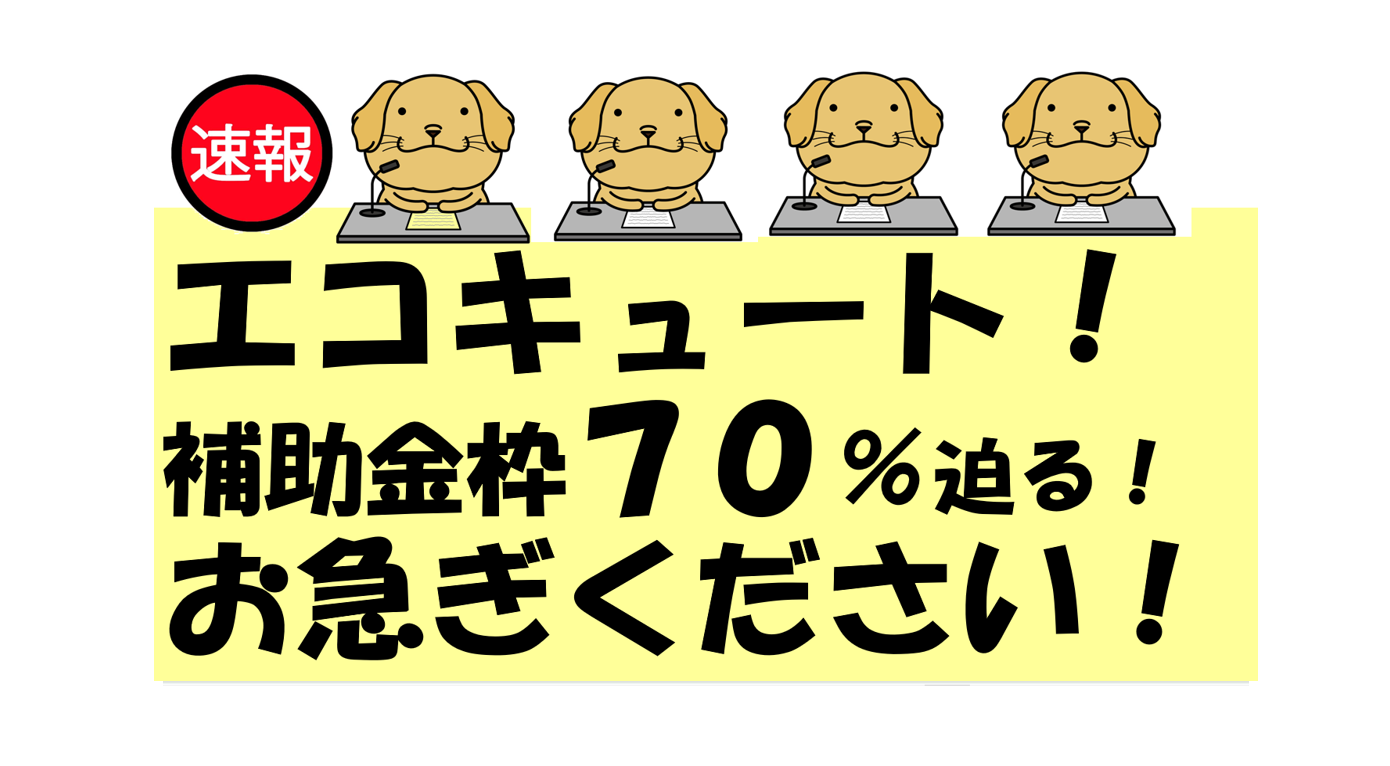 🪄🪄速報です🪄🪄お急ぎくださいませ