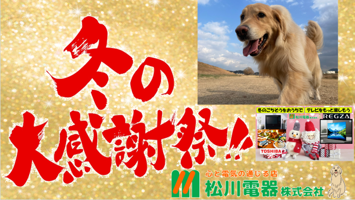 🦩🦩🦩🦩🦩この冬！たいへんご好評いただいております！松川電器BEST5🦩🦩🦩🦩🦩