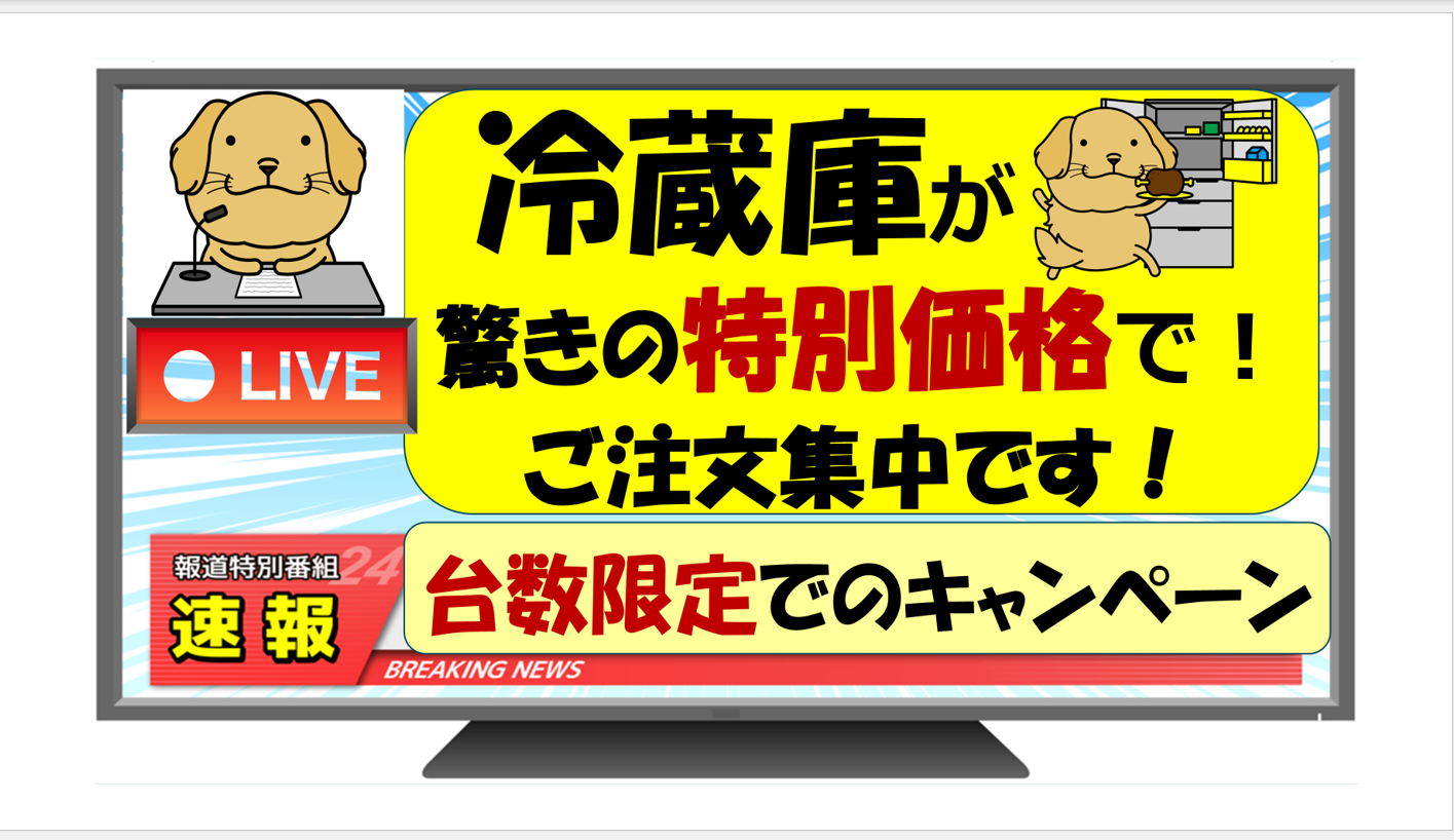 🦩🦩🦩冷蔵庫キャンペーン🦩🦩🦩たくさんのお買い上げありがとうございます