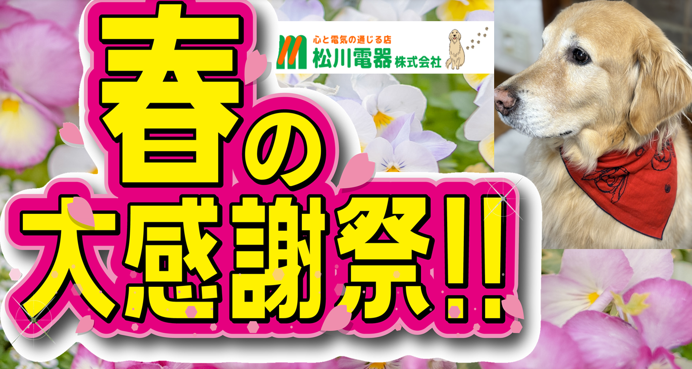 🌸🌸🌸春の大感謝祭🌸🌸🌸ご来店ありがとうございます