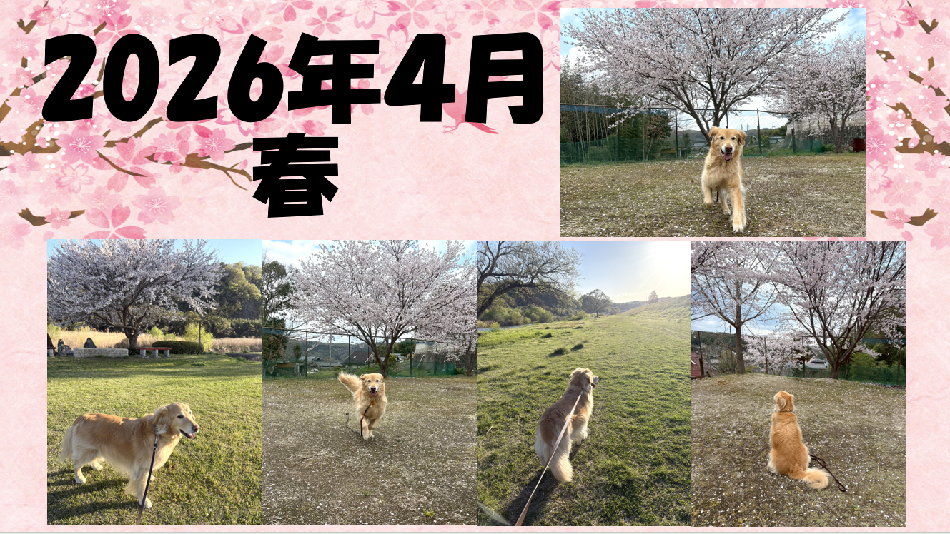 ４月🌸🌸🌸おめでとうございます🌸🌸🌸