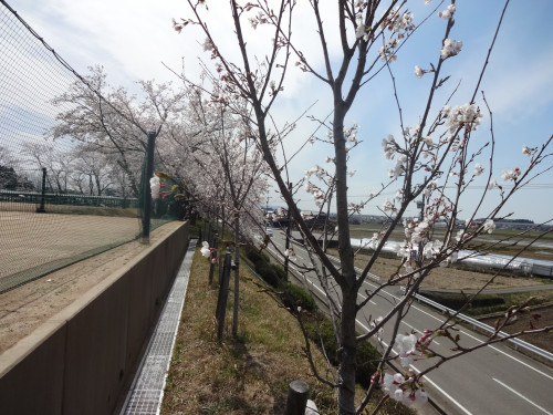 DSC01441.JPG