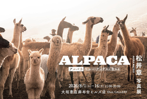 ALDO麻布台ヒルズ店　ALPACA写真展