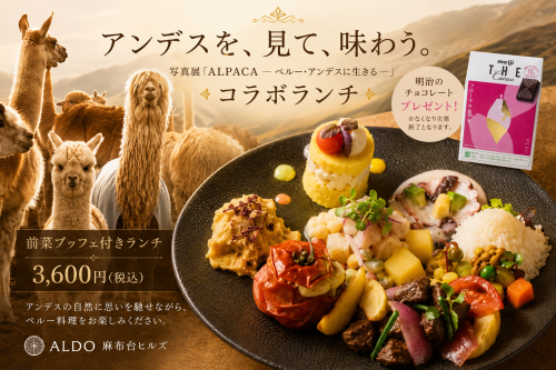 麻布台ヒルズ店：アルパカ写真展コラボ「前菜ビュッフェ付ペルーランチ」