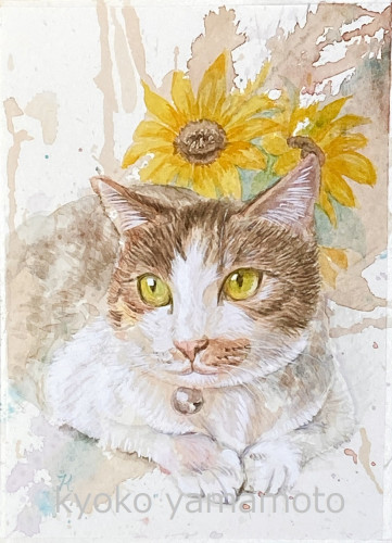 太陽とねこ展＠Gallery『GEORGE』
