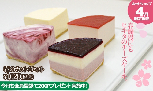 500×300_1604キャンペーン.jpg