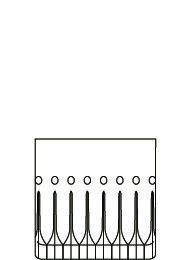 アセット 254.jpg