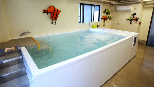 独自に設計したハイドロセラピー専用プールならではの機能を使い、水流、水温を利用して様々なプログラムを組み立てていきます。