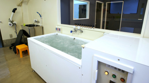 最適な水温の中、マッサージや矯正を行いボディバランスを整えるためのハイドロアロマティック専用スパ。