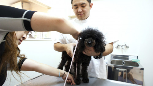 診察だけでなく、ボディチェック、計測、鍼灸を行う落ち着くスペースです。