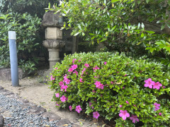 IMG_3491.jpeg