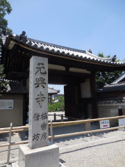 IMG_9999.jpeg