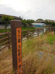 IMG_8676.jpeg