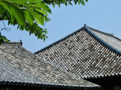 IMG_1206.jpeg