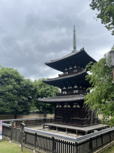 IMG_3648.jpeg
