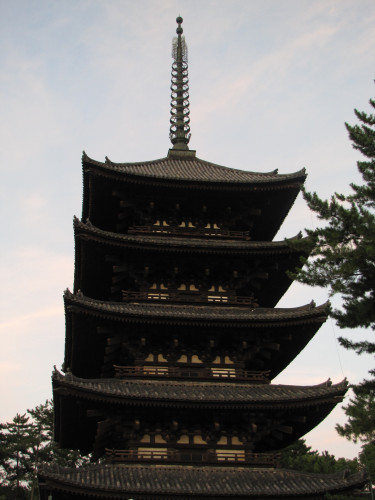IMG_0185.jpeg