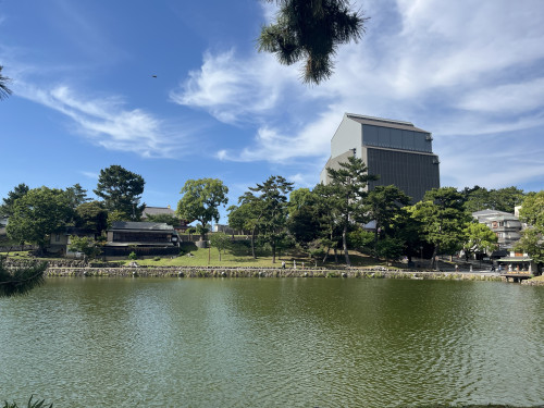 IMG_3686.jpeg
