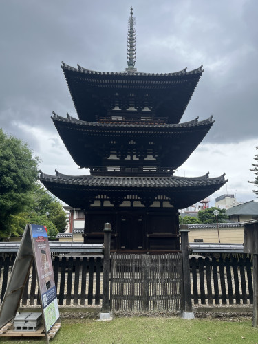 IMG_3652.jpeg