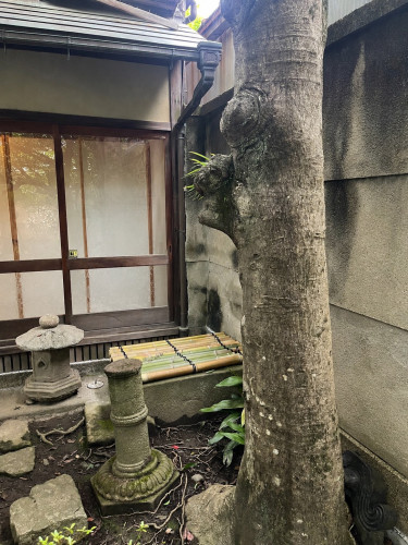 画像.jpeg